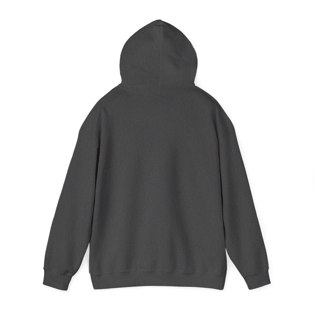 Undiagnosed But Something Ain't Right Hoodie