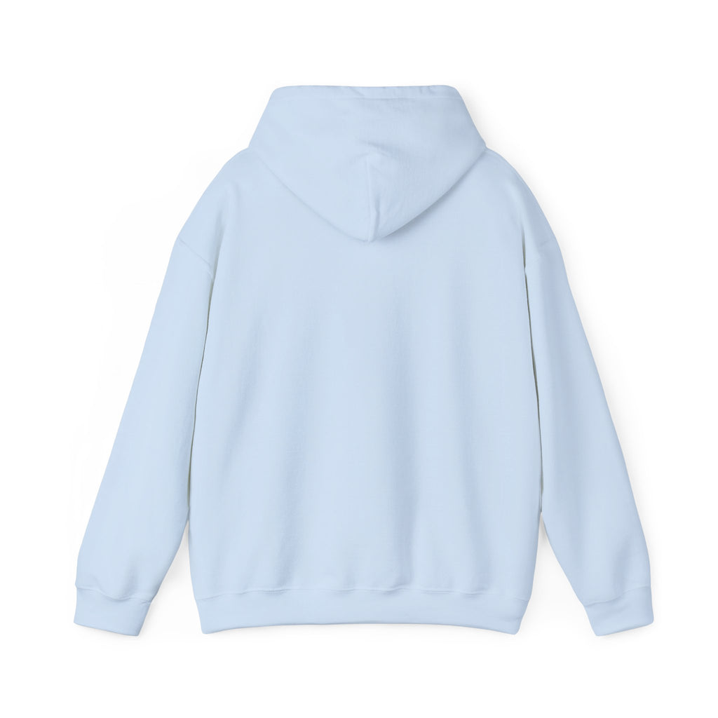 Undiagnosed But Something Ain't Right Hoodie